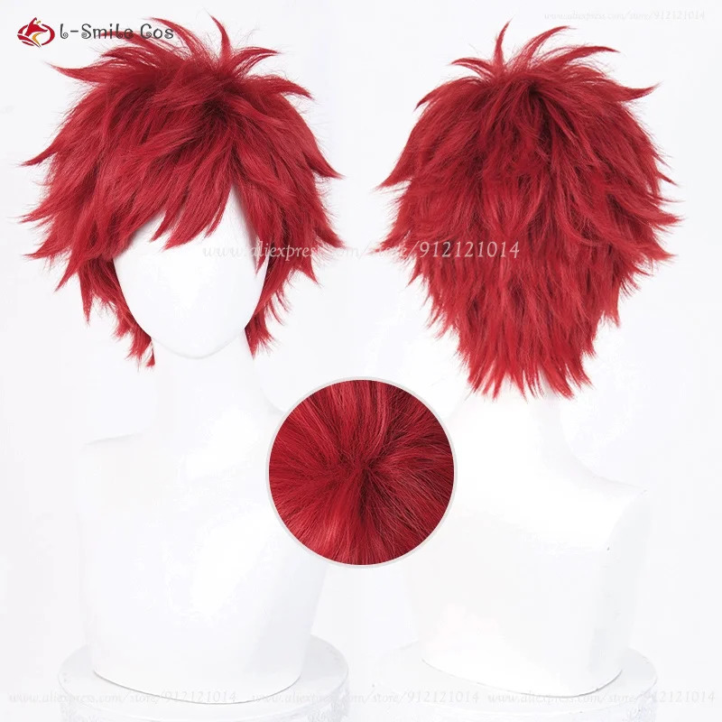 Anime Reinhard Van Astrea Cosp - Anime Cosplay Red Hair recension och pris