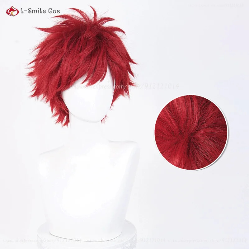 Anime Reinhard Van Astrea Cosp - Anime Cosplay Red Hair recension och pris